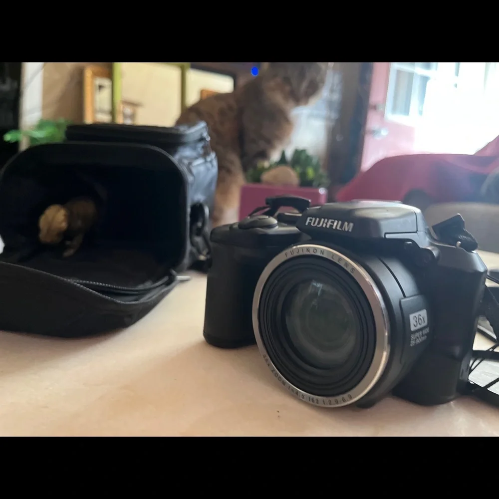 Fuji fun film camera